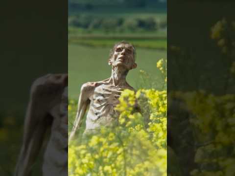 人間が 人間では なくなる世界──　映画『28年後…』　 6月20日（金）日米同時公開